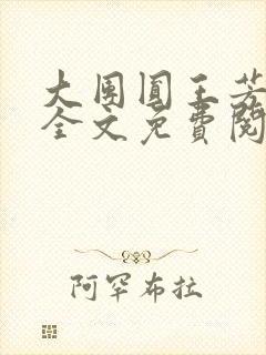 大团圆王芳高敏全文免费阅读