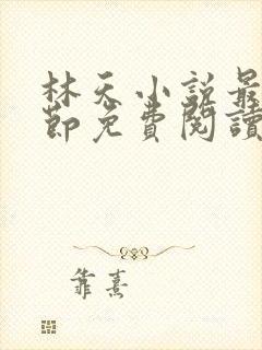 林天小说最新章节免费阅读全文