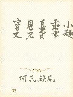 宝贝真乖小说全文免费笔趣阁