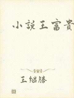 小说王富贵陈芸