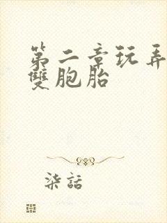 第二章玩弄少妇双胞胎