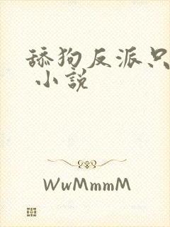 舔狗反派只想苟 小说