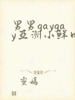 男男gaygay亚洲小鲜肉网站