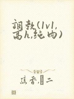 调教(1v1,高h,纯肉)封面
