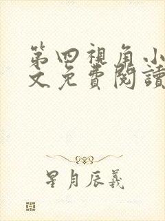 第四视角小说全文免费阅读