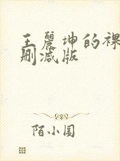 王丽坤的裸戏无删减版封面