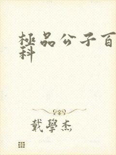 极品公子百度百科