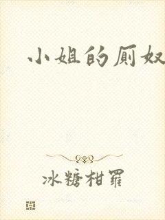 小姐的厕奴封面