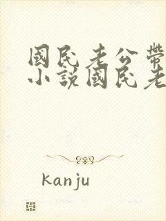 国民老公带回家小说国民老公带回家