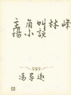 主角叫林峰的官场小说封面