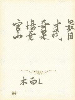 官场奇才最强靠山竟是我自己李澜小说