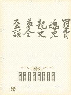 至尊龙魂罗成小说全文免费阅读无弹窗