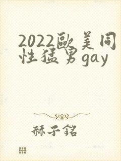 2022欧美同性猛男gay