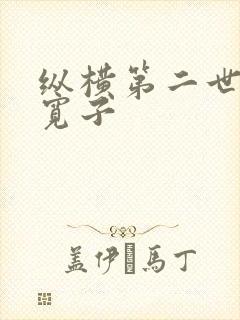 纵横第二世界 宽子
