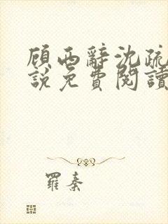 顾西辞沈疏桐小说免费阅读最新章节