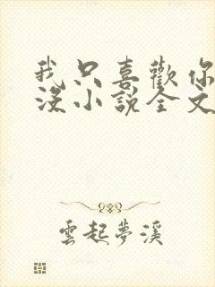 我只喜欢你的人没小说全文免费阅读