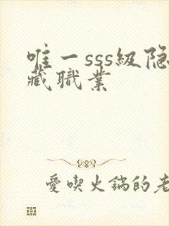 唯一sss级隐藏职业