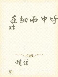 在细雨中呼喊txt