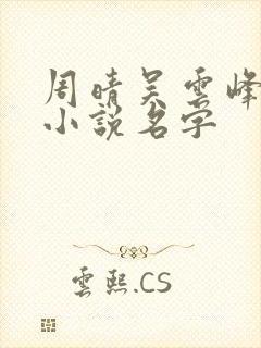 周晴吴云峰李磊小说名字