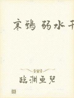 寒鸦 弱水千流