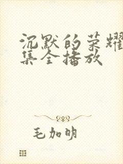 沉默的荣耀40集全播放