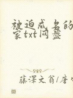 被迫成名的小说家txt网盘