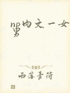 np肉文一女多男