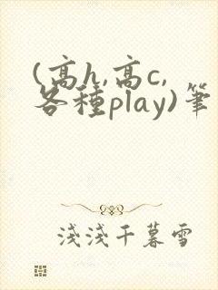 (高h,高c,各种play)笔趣阁