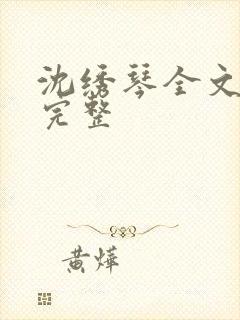 沈绣琴全文阅读完整封面