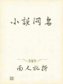 小说网名