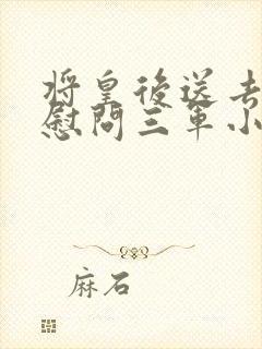 将皇后送去军营慰问三军小说封面