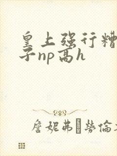 皇上强行糟蹋太子np高h