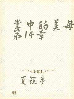 掌中的美母版主第14章