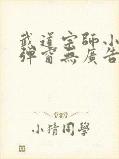 武道宗师小说无弹窗无广告封面