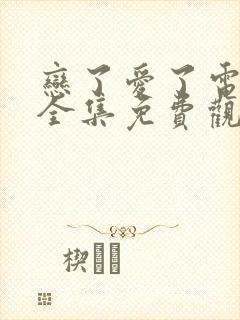 恋了爱了电视剧全集免费观看高清