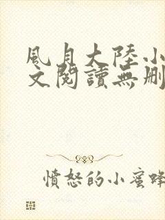 风月大陆小说全文阅读无删减