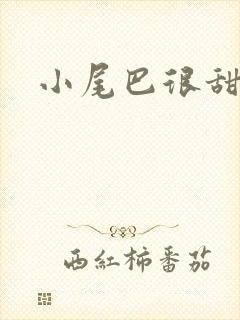 小尾巴很甜封面