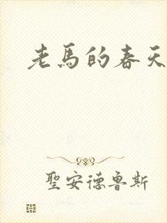 老马的春天敏静