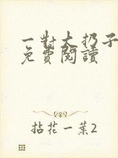 一对大扔子小说免费阅读