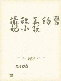 摄政王的医品狂妃小说封面