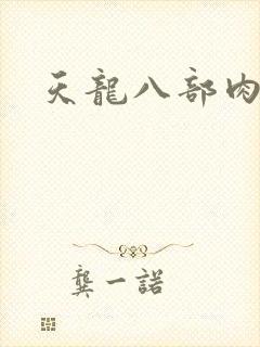 天龙八部肉集封面