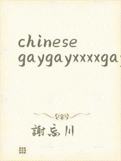 chinesegaygayxxxxgaygay