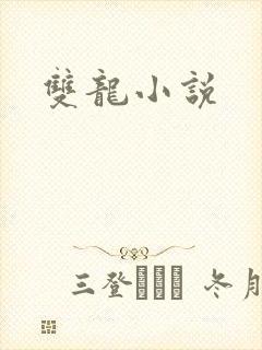 双龙小说