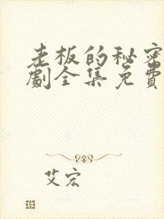 老板的秘密电视剧全集免费观看封面