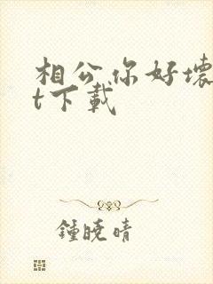 相公你好坏txt下载