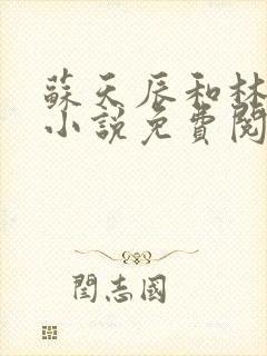 苏天辰和林文蕊小说免费阅读笔趣阁