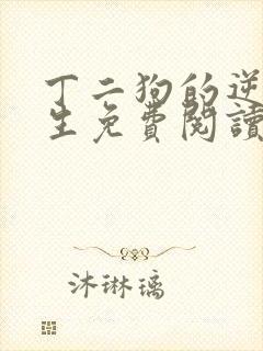 丁二狗的逆袭人生免费阅读封面