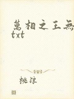 万相之王无删减txt