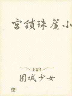 宫锁珠帘小说封面