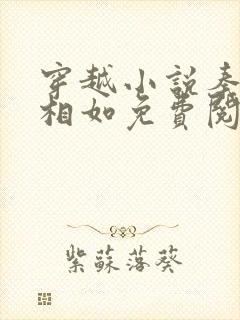 穿越小说秦墨秦相如免费阅读